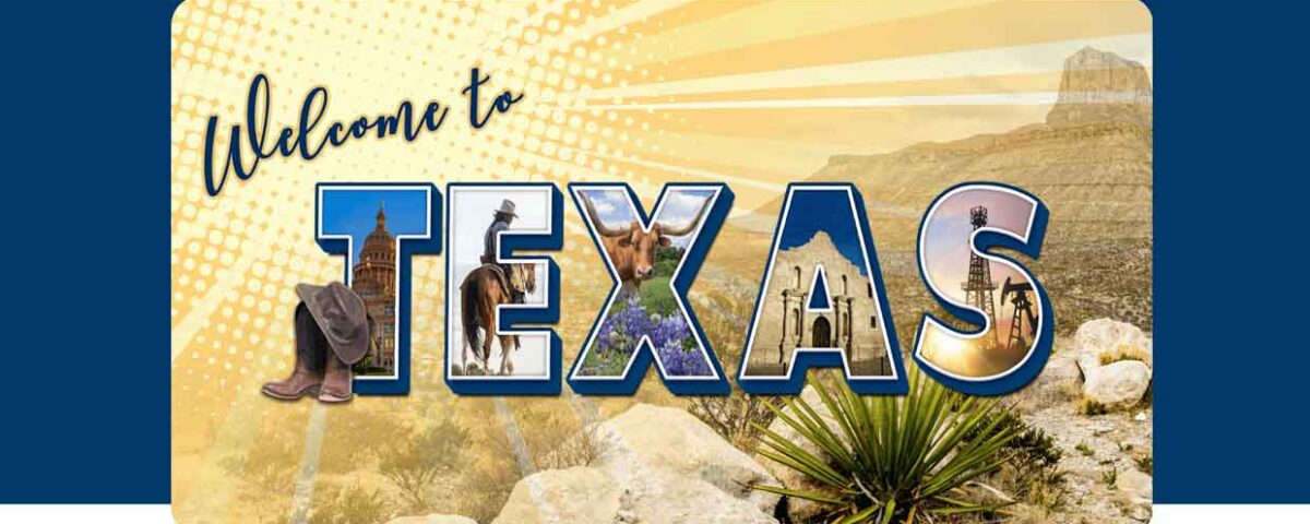 Texas Global Consulting website